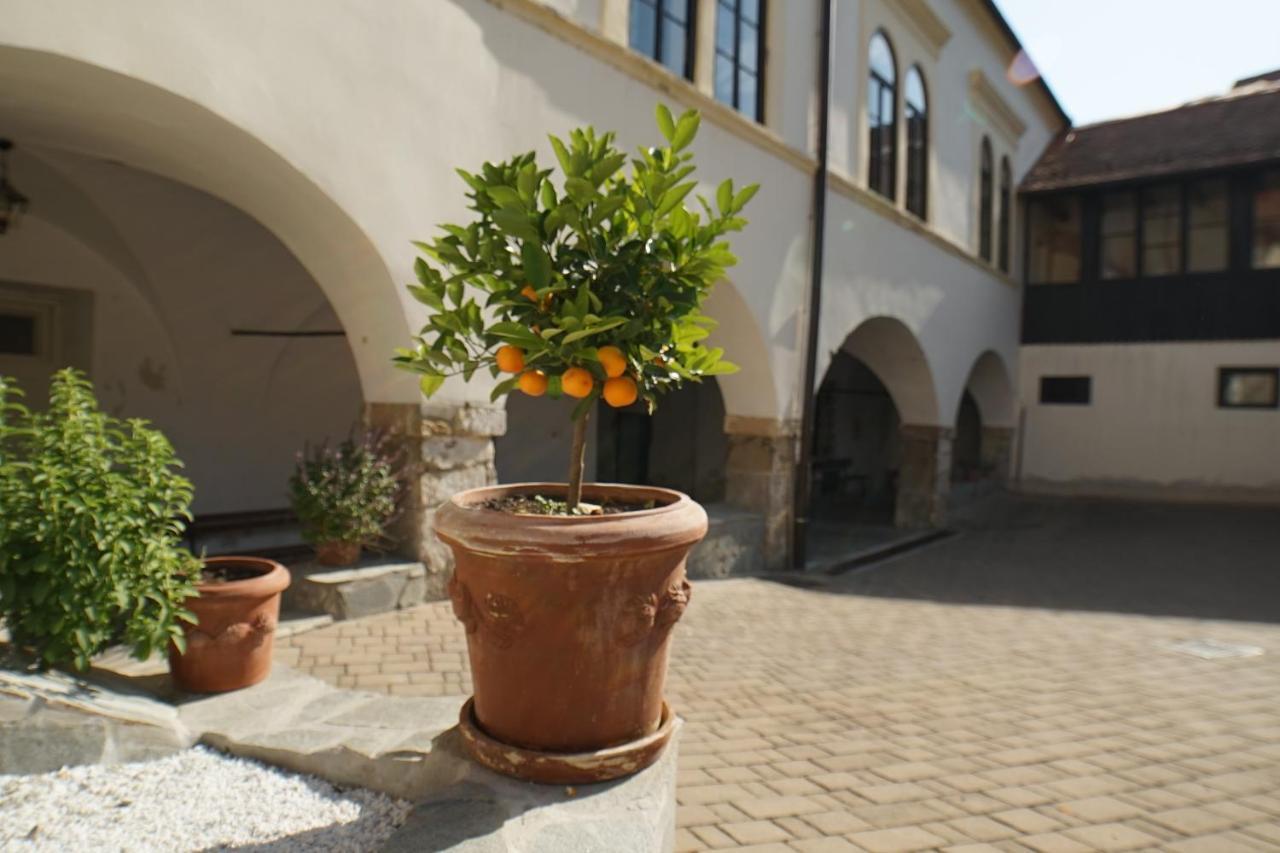 Sobe Prostija Apartment Ptuj Exterior photo